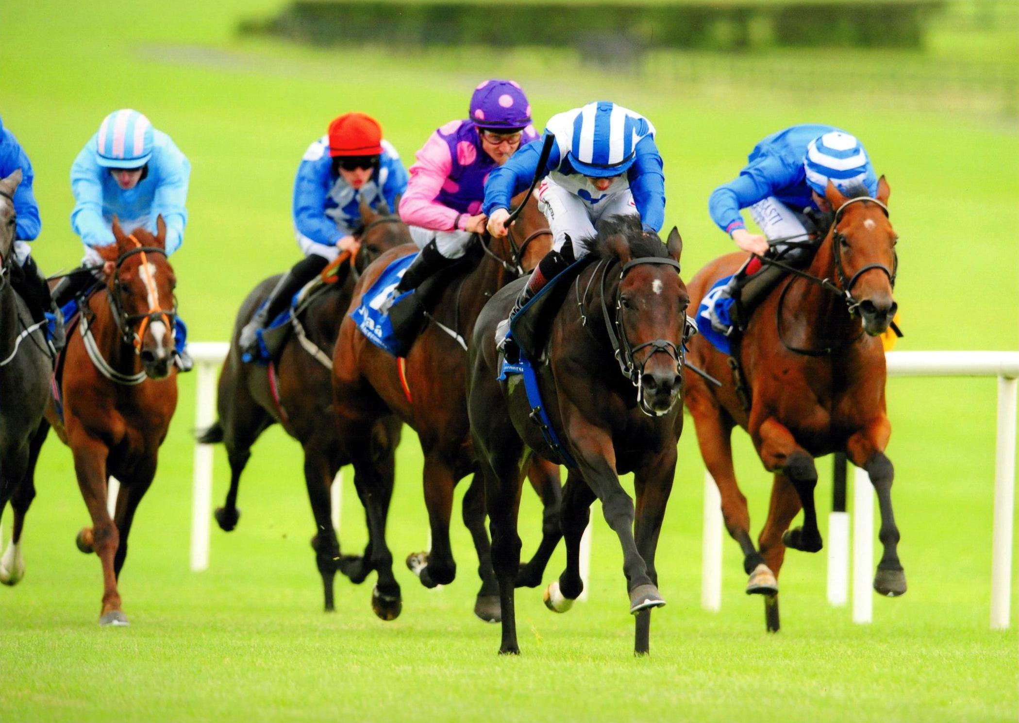 NOIVADO wins in fine style at Naas 21st September 2016